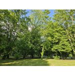 Zdjęcia użytkowników Samsung Galaxy S23 Zdjęcia użytkowników Samsung Galaxy S23