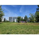 Zdjęcia użytkowników Samsung Galaxy S23 Zdjęcia użytkowników Samsung Galaxy S23