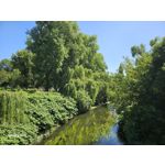 Zdjęcia użytkowników Samsung Galaxy S23 Zdjęcia użytkowników Samsung Galaxy S23