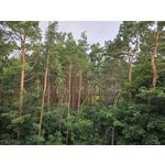 Zdjęcia użytkowników Samsung Galaxy S23 Zdjęcia użytkowników Samsung Galaxy S23