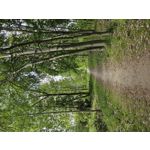 Zdjęcia użytkowników Samsung Galaxy S23 Zdjęcia użytkowników Samsung Galaxy S23