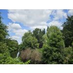 Zdjęcia użytkowników Samsung Galaxy S23 Zdjęcia użytkowników Samsung Galaxy S23