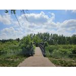 Zdjęcia użytkowników Samsung Galaxy S23 Zdjęcia użytkowników Samsung Galaxy S23