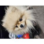 Zdjęcia użytkowników Samsung Galaxy S23 Zdjęcia użytkowników Samsung Galaxy S23