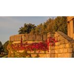 Zdjęcia użytkowników Samsung Galaxy S23 Zdjęcia użytkowników Samsung Galaxy S23