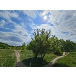 Zdjęcia użytkowników Samsung Galaxy S23 Zdjęcia użytkowników Samsung Galaxy S23