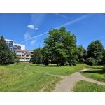 Zdjęcia użytkowników Samsung Galaxy S23 Zdjęcia użytkowników Samsung Galaxy S23