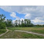 Zdjęcia użytkowników Samsung Galaxy S23 Zdjęcia użytkowników Samsung Galaxy S23