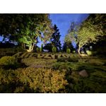 Zdjęcia użytkowników Samsung Galaxy S23 Zdjęcia użytkowników Samsung Galaxy S23