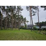 Zdjęcia użytkowników Samsung Galaxy S23 Zdjęcia użytkowników Samsung Galaxy S23