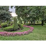 Zdjęcia użytkowników Samsung Galaxy S23 Zdjęcia użytkowników Samsung Galaxy S23