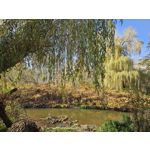 ZDJĘCIA Z TEGO TELEFONU