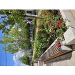 Zdjęcia użytkowników Samsung Galaxy S23 Zdjęcia użytkowników Samsung Galaxy S23