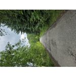 Zdjęcia użytkowników Samsung Galaxy S23 Zdjęcia użytkowników Samsung Galaxy S23