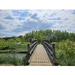 Zdjęcia użytkowników Samsung Galaxy S23 Zdjęcia użytkowników Samsung Galaxy S23