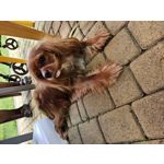 Zdjęcia użytkowników Samsung Galaxy S23 Zdjęcia użytkowników Samsung Galaxy S23