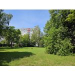 Zdjęcia użytkowników Samsung Galaxy S23 Zdjęcia użytkowników Samsung Galaxy S23