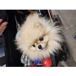 Zdjęcia użytkowników Samsung Galaxy S23 Zdjęcia użytkowników Samsung Galaxy S23