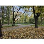 Zdjęcia użytkowników Samsung Galaxy S23 Zdjęcia użytkowników Samsung Galaxy S23