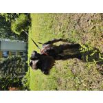 Zdjęcia użytkowników Samsung Galaxy S23 Zdjęcia użytkowników Samsung Galaxy S23