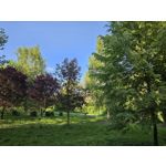 Zdjęcia użytkowników Samsung Galaxy S23 Zdjęcia użytkowników Samsung Galaxy S23