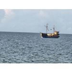 Zdjęcia użytkowników Samsung Galaxy S23 Zdjęcia użytkowników Samsung Galaxy S23