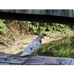 Zdjęcia użytkowników Samsung Galaxy S23 Zdjęcia użytkowników Samsung Galaxy S23