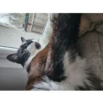 Zdjęcia użytkowników Samsung Galaxy S23 Zdjęcia użytkowników Samsung Galaxy S23