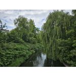 Zdjęcia użytkowników Samsung Galaxy S23 Zdjęcia użytkowników Samsung Galaxy S23