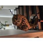 Zdjęcia użytkowników Samsung Galaxy S23 Zdjęcia użytkowników Samsung Galaxy S23