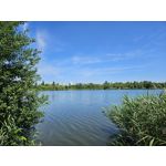 Zdjęcia użytkowników Samsung Galaxy S23 Zdjęcia użytkowników Samsung Galaxy S23