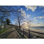 Zdjęcia użytkowników Samsung Galaxy S23 Zdjęcia użytkowników Samsung Galaxy S23