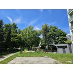 Zdjęcia użytkowników Samsung Galaxy S23 Zdjęcia użytkowników Samsung Galaxy S23