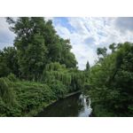 Zdjęcia użytkowników Samsung Galaxy S23 Zdjęcia użytkowników Samsung Galaxy S23