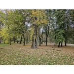 Zdjęcia użytkowników Samsung Galaxy S23 Zdjęcia użytkowników Samsung Galaxy S23