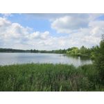 Zdjęcia użytkowników Samsung Galaxy S23 Zdjęcia użytkowników Samsung Galaxy S23