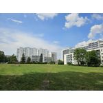 Zdjęcia użytkowników Samsung Galaxy S23 Zdjęcia użytkowników Samsung Galaxy S23