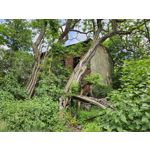 Zdjęcia użytkowników Samsung Galaxy S23 Zdjęcia użytkowników Samsung Galaxy S23