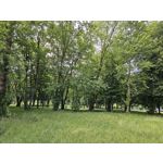 Zdjęcia użytkowników Samsung Galaxy S23 Zdjęcia użytkowników Samsung Galaxy S23