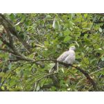 Zdjęcia użytkowników Samsung Galaxy S23 Zdjęcia użytkowników Samsung Galaxy S23