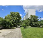 Zdjęcia użytkowników Samsung Galaxy S23 Zdjęcia użytkowników Samsung Galaxy S23