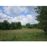 Zdjęcia użytkowników Samsung Galaxy S23 Zdjęcia użytkowników Samsung Galaxy S23