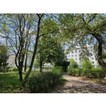 Zdjęcia użytkowników Samsung Galaxy S23 Zdjęcia użytkowników Samsung Galaxy S23