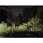 Zdjęcia użytkowników Samsung Galaxy S23 Zdjęcia użytkowników Samsung Galaxy S23