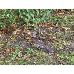 Zdjęcia użytkowników Samsung Galaxy S23 Zdjęcia użytkowników Samsung Galaxy S23