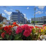 Zdjęcia użytkowników Samsung Galaxy S23 Zdjęcia użytkowników Samsung Galaxy S23