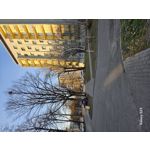 Zdjęcia użytkowników Samsung Galaxy S23 Zdjęcia użytkowników Samsung Galaxy S23