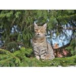 Zdjęcia użytkowników Samsung Galaxy S23 Zdjęcia użytkowników Samsung Galaxy S23