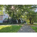 Zdjęcia użytkowników Samsung Galaxy S23 Zdjęcia użytkowników Samsung Galaxy S23