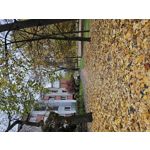 Zdjęcia użytkowników Samsung Galaxy S23 Zdjęcia użytkowników Samsung Galaxy S23